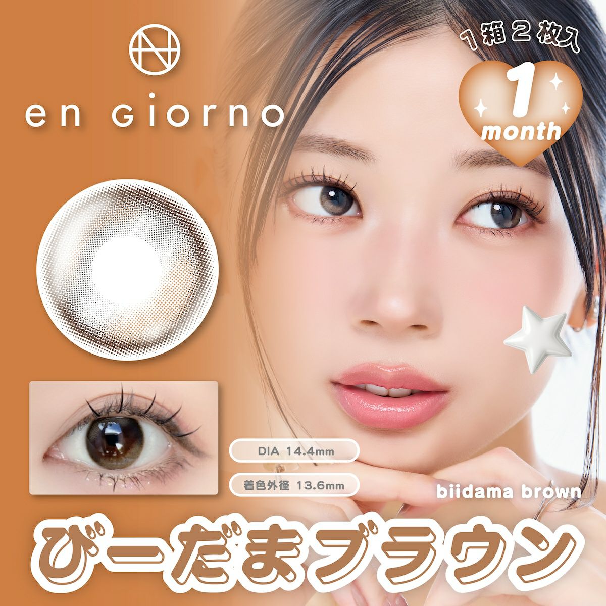 アンジョルノ マンスリー びーだまブラウン