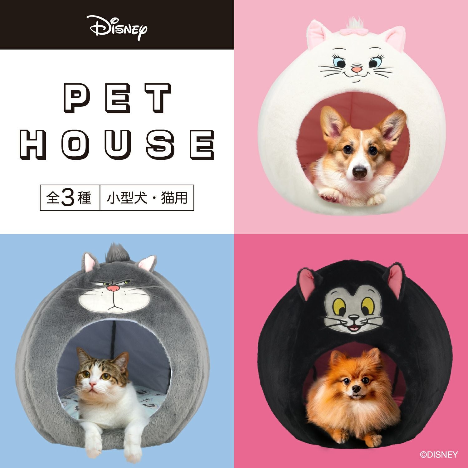 000000005964-01.jpg?size=xl&w=