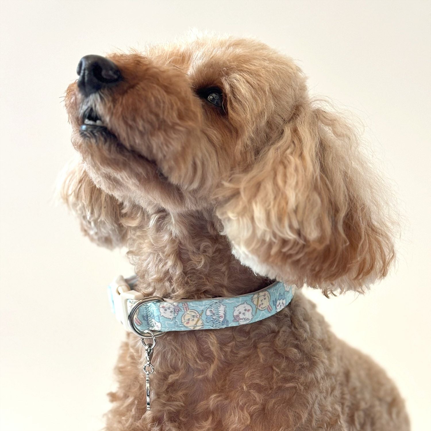 ちいかわ 小型犬用 首輪 モチーフ柄 ＜ ブルー/ピンク ＞