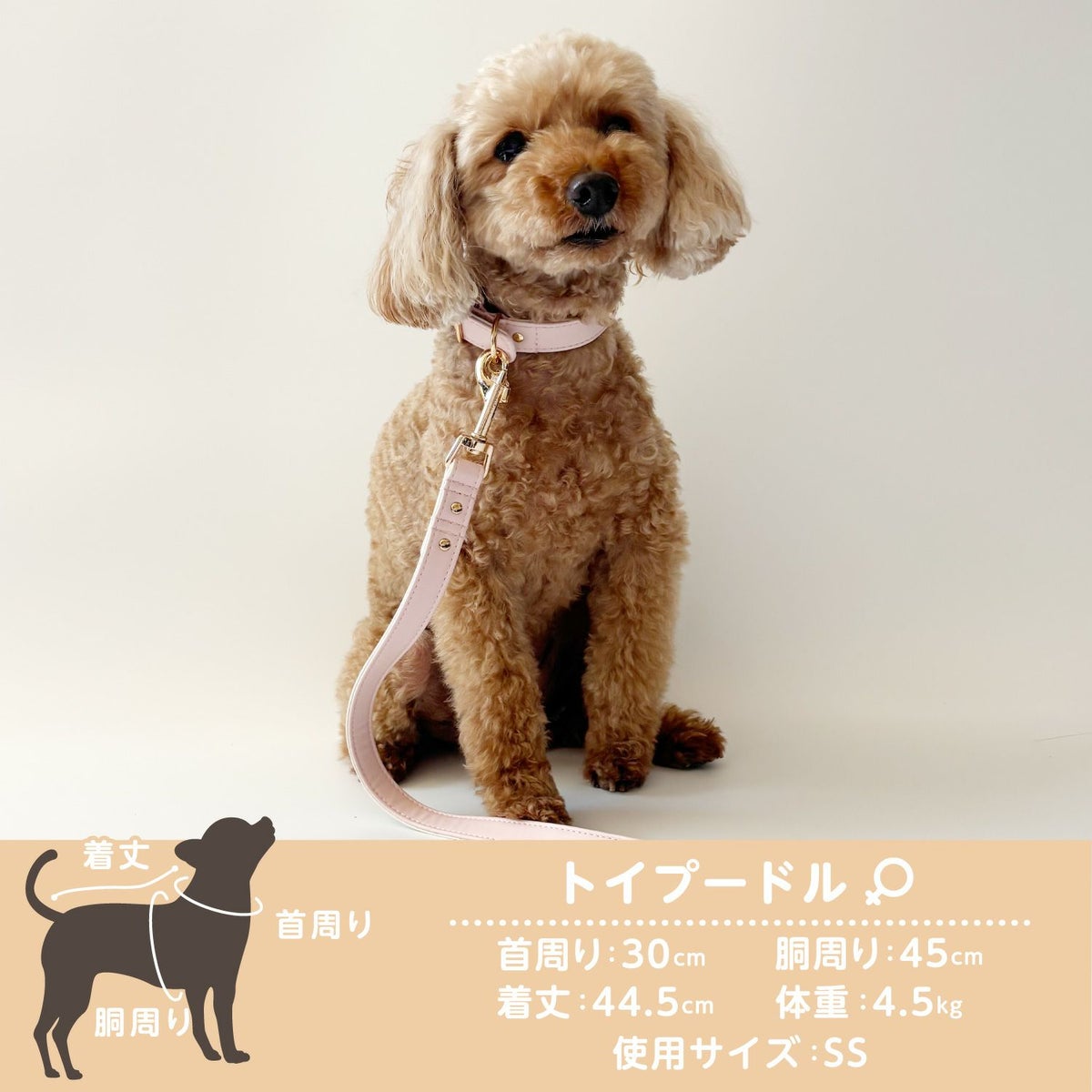ちいかわ 小型犬用 首輪 モチーフ柄 ＜ ブルー/ピンク ＞
