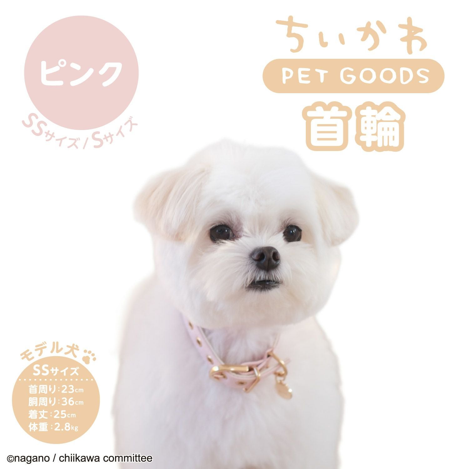 ちいかわ 小型犬用 首輪 合皮タイプ ＜ アイボリー/ピンク ＞