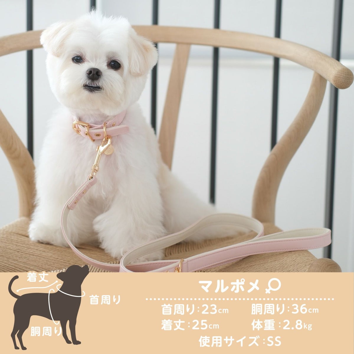 ちいかわ 小型犬用 首輪 合皮タイプ ＜ アイボリー/ピンク ＞
