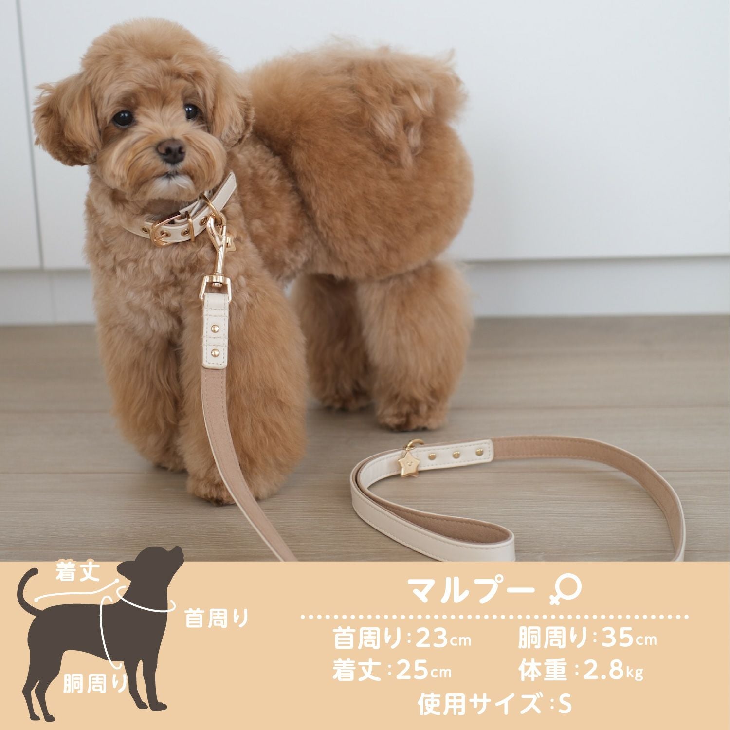 ちいかわ 小型犬用 首輪 合皮タイプ ＜ アイボリー/ピンク ＞