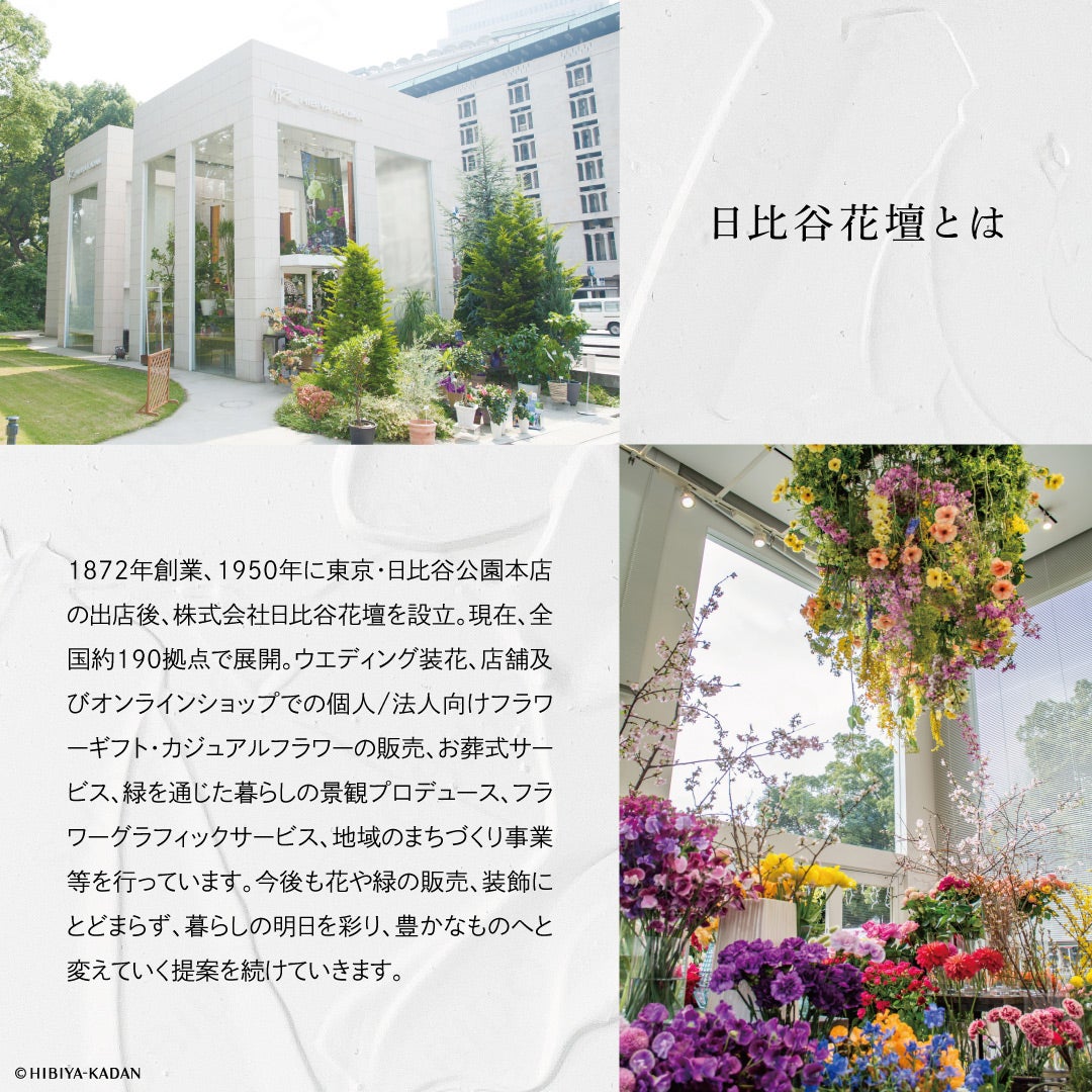 Meica 日比谷花壇コラボ ＜母の日セット＞ メイカ 粧美堂 shobido