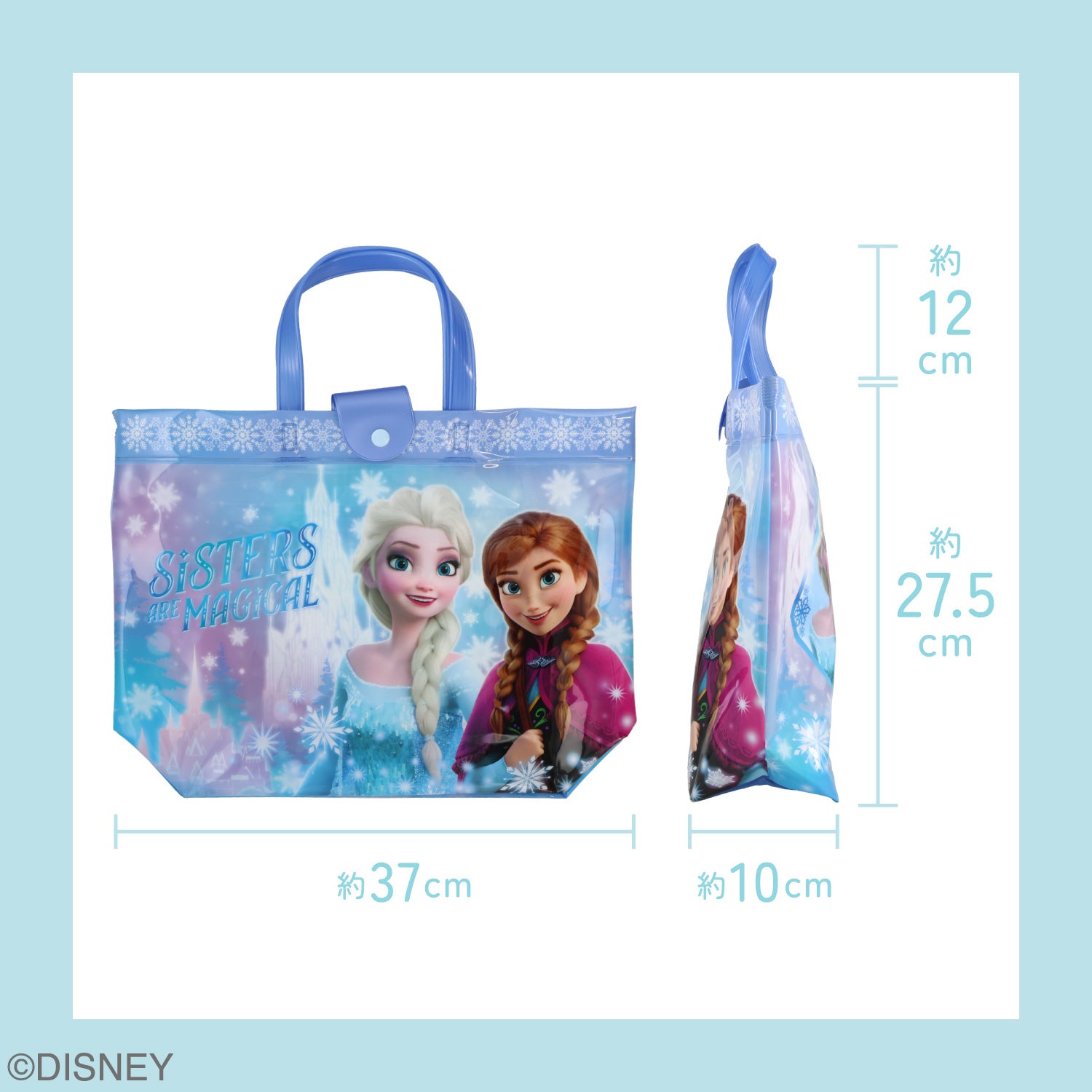 Disney バケット型バッグ ＜アナと雪の女王/ディズニープリンセス＞ ディズニー 粧美堂 shobido