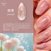 ジェリーバイ デコラティブネイル ＜ マグネットジェルネイル ＞